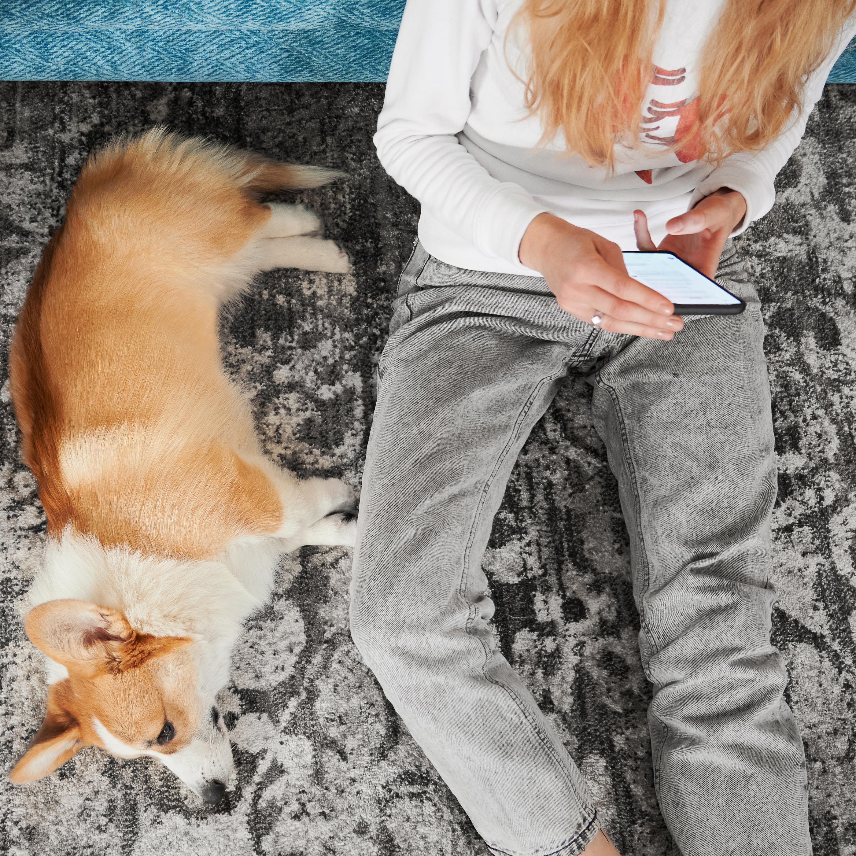 Person sitting on carpet flooring, using a smartphone, with a corgi lying contentedly beside them.