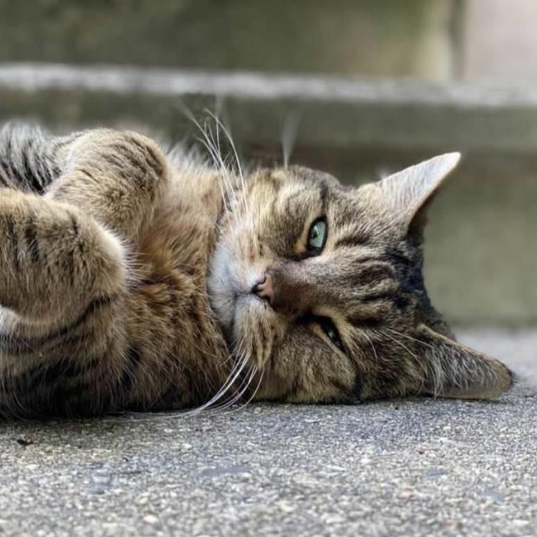 photo of Zanzibar Jenner