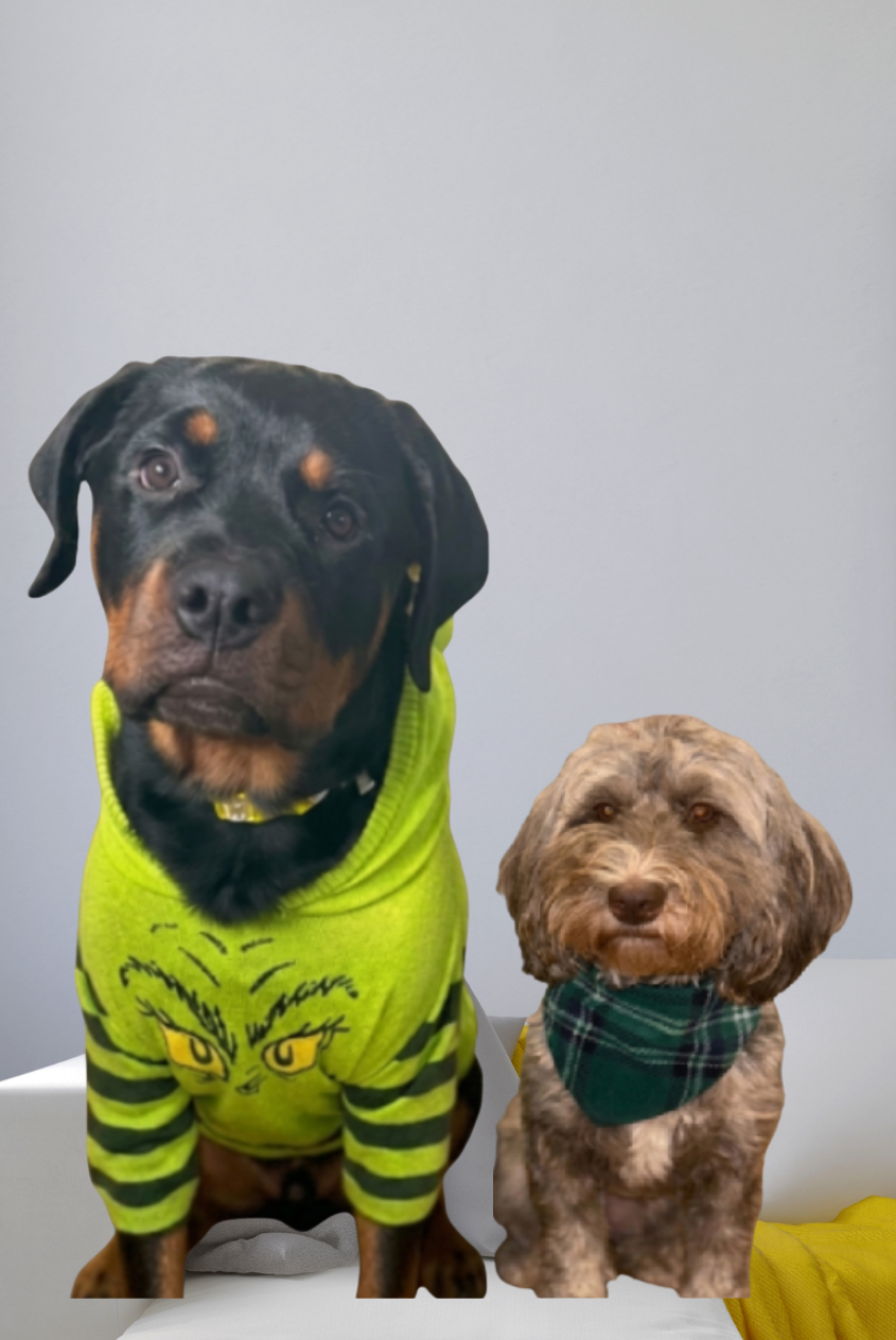 photo of Tiny and Biggie